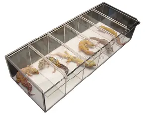 Acrylic reptile display case geckos snakes rack with magnet Plastic acrylic reptile cage with magnet for spider lizard gecko