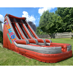 Tobogán Inflable Doble de 20 pies, Trampolín Inflable, Piscina Inflable, Toboganes Acuáticos Tropicales para Adultos, Fiestas - Product Image 5