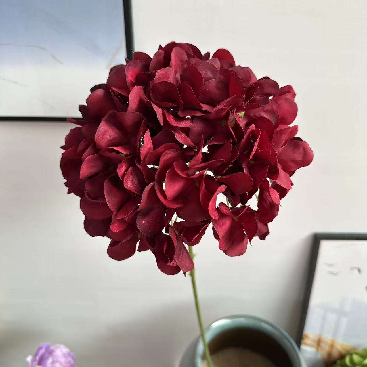 Single hydrangea burgundy