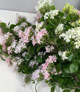 Décoration de la maison artificielle Murraya Paniculata soie Osmanthus branche <span class=keywords><strong>laurier</strong></span> doré soie <span class=keywords><strong>fleur</strong></span> accessoires de tir noël pâques - Product Image 2