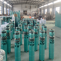 Pompe à eau submersible haute efficacité en fonte de 10 pouces, 80 m³/h, hauteur de refoulement 20 m, 7,5 kW, 380 V, pour alimentation en eau de puits profond