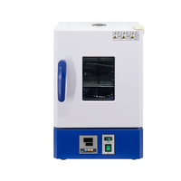 Incubateur de laboratoire à convection naturelle série bureau, avec chambre en acier inoxydable miroir, pour la croissance des bactéries