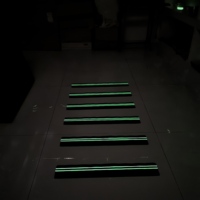 Doppelstreifen-Leuchtstreifen mit Rutschfestigkeit, Hoher Reibungswiderstand, Wasserdicht, Acryl-Klebstoff, Vorgeschnitten, Einfache Installation für den Außenbereich
