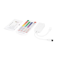 Bande LED adressable Bluetooth SP611E SceneX, DC5V 12V 24V, application musicale, télécommande IR 38 touches, contrôleur LED WS2812 WS2811