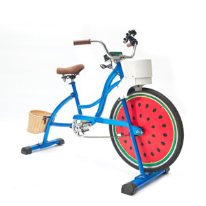 EXI acciaio monociclo Cruiser bicicletta con generatore di pedali ibrido bici Party intrattenimento per centro commerciale Chopper bicicletta per adulti - Product Image 6