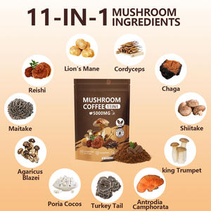 Superfood Organique Extrait Instantané de Café Ganoderma en Poudre Vente en Gros Lions Crinière Herbes Supplément Vitamines pour Nouveau-nés - Product Image 3