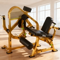 Ensemble complet d'équipements de fitness pour salle de sport : Machine combinée durable pour extensions et flexions des jambes, équipement stable pour l'entraînement de force en salle de sport et studio de fitness