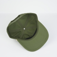 Reach CE Fabrikant Vintage Groene Katoenen 5-Panel Onbestructureerde Pet met Aangepaste Geborduurde Logo Baseball Cap voor Heren