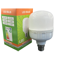 Ampoules LED B22 5 10 15 20W 10000K Haute Luminosité T80 Aluminium 165-265V avec Driver LED Anti-Scintillement