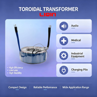 Transformateur toroïdal industriel monophasé 12V-240V AC 10kVA, enroulement en cuivre, entrée 240V, OEM personnalisé, CE RoHS ISO9001 LIQIN