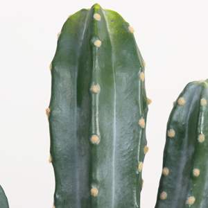 Plantes artificielles en plastique, cactus, plantes vertes, paysage désertique, décoration intérieure/extérieure, fausses plantes tropicales - Product Image 4