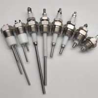 Capteur de niveau d'eau G1/2 à double électrode en acier inoxydable 304 316 Sonde de niveau de liquide pour chaudières et générateurs de vapeur