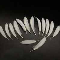 Vente en gros de plumes d'oie blanches de haute qualité 6-8 pouces plumes d'oie brutes pour volant de badminton