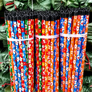 Manche de balai en bois, balai à poils doux en Tampico, imperméable, écologique, 2-en-1, extensible, portable, durable, pour toilettes et meubles - Product Image 1