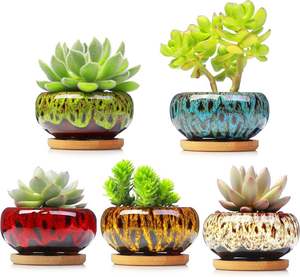Macetas Pequeñas de Cerámica Esmaltada para Suculentas, Decoración Minimalista Única para Jardín Interior/Exterior con Orificio de Drenaje para Cactus y Flores - Product Image 1