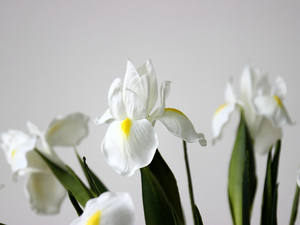 A-1083 Réel Regardant Longues Tiges <span class=keywords><strong>Fleur</strong></span> Artificielle Vraie Touche PU <span class=keywords><strong>Iris</strong></span> <span class=keywords><strong>Fleur</strong></span> pour Fête À La Maison De Mariage Fleurs Décoration - Product Image 6