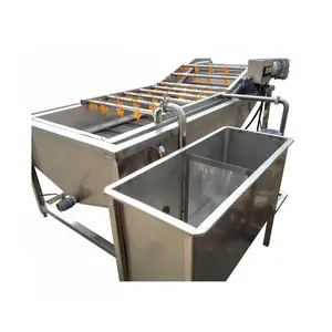 Limpiador Industrial automático de alimentos secos, limpiador de jengibre y manzana, máquina de lavado de fresa con burbujas de aire para verduras y frutas de dragón múltiple