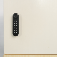 Serrure de cabinet numérique en alliage de zinc avec placage métallique pour utilisation dans les salles de sport, les chambres, les hôtels et les saunas