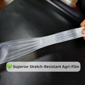 Película de Polietileno Agrícola Resistente a los Rayos UV de 150 Micras, 200 Micras y 250 Micras para Cubrir Invernaderos de Verduras y Frutas - Product Image 3