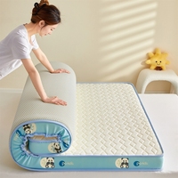 Matelas de lit éponge en silicone simple dessin animé maux de dos et sommeil confortable toute la nuit