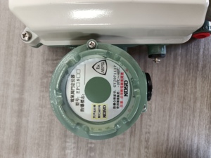 NUEVO - Stock Disponible: Koso EPB804 EPC814 Electro-neumático KGP5000 EPA800 EPC800 PPA801-L2 - Product Image 4