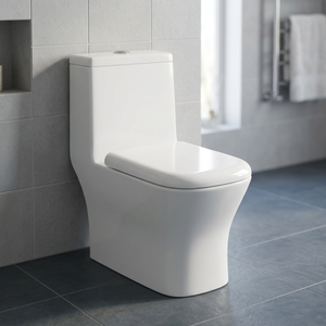 WC monobloc sans bride en céramique WaterMark CE australien avec siphon en P et abattant UF - Product Image 1