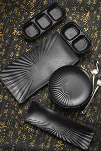 プラスチックプレート日本寿司プレートと西洋デザート長方形メラミンプレート無料サンプルフロスト技術 - Product Image 6