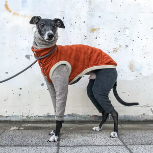 Ropa de invierno personalizada de algodón cálido abrigo de galgo italiano ropa para perros - Product Image 2