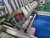 Machine à scier les os automatique coupe-viande prix de la machine à scier les os personnalisé