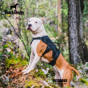 Harnais tactique <span class=keywords><strong>pour</strong></span> <span class=keywords><strong>chien</strong></span> BlackDoggy CN en polyester respirant avec libération rapide <span class=keywords><strong>pour</strong></span> la promenade des chiens, la <span class=keywords><strong>chasse</strong></span>, <span class=keywords><strong>gilet</strong></span> <span class=keywords><strong>de</strong></span> <span class=keywords><strong>protection</strong></span> - Product Image 6