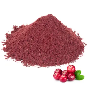 High Quality Food Grade 99% Juice Cranberry Powder 300 Evolve Nitrile Powder Free