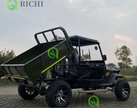 Nouveaux produits personnalisés, 4 roues motrices, capacité de 2 places, Jeep à essence, voiture utilitaire, pratique, durable, Jeep Kart Buggy