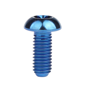 M2 M3 M4 M5 M6 đầy màu sắc kẽm mạ nút Đầu Torx Titan Bolt vít gr2 <span class=keywords><strong>GR5</strong></span> Torx đầu tròn hợp kim titan vít - Product Image 4