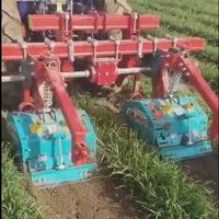 Cultivateurs agricoles pour l'agriculture, désherbeur inter-rangs pour le maïs, désherbeur agricole
