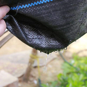 Barrière anti-mauvaises herbes en plastique PE à bas prix d'usine verger agricole plantation de bleuets herbe de bleuet couvrant la coupe de tissu - Product Image 3