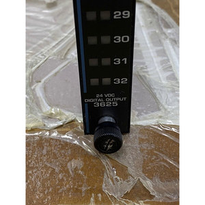 โมดูลเอาต์พุตดิจิตอล 3625 24VDC ของแท้ 100% ใหม่เอี่ยม - Product Image 6