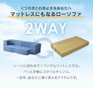 <b>Foldable</b> Convertible <b>Sofa</b> <b>Bed</b> Foam Filling Multifunctional For Small Apartments And Living Room Use - Product Image 5