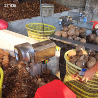 Nouvelle machine automatique de décorticage de noix de coco 220V, éplucheur brun ancien avec moteur, élimine les coques de noix de coco pour l'application alimentaire