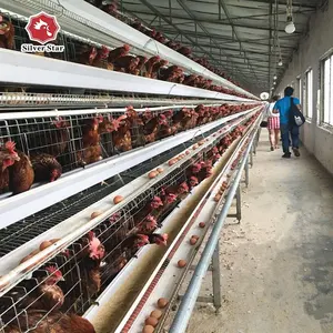 Jaula de gallina de acero galvanizado, malla tipo A, equipo de granja avícola, capa de batería, jaula de pollo automática con sistema de puesta de huevos