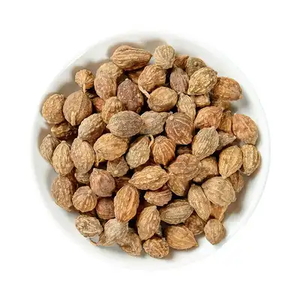 Yi Zhi Ren – Herbes chinoises de haute qualité <span class=keywords><strong>pour</strong></span> réchauffer le moelleux sanglant, arrêter <span class=keywords><strong>la</strong></span> <span class=keywords><strong>diarrhée</strong></span> et réchauffer les reins <span class=keywords><strong>pour</strong></span> consolider l'essence - Product Image 5