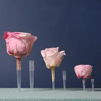 Nieuwe Rental Gedroogde Bloemen Bewaard Rose Stam Plastic Stem Voor Rose Hoofd