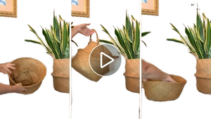 <span class=keywords><strong>Grand</strong></span> panier moderne en osier tissé <span class=keywords><strong>pour</strong></span> l'intérieur <span class=keywords><strong>Pot</strong></span> d'<span class=keywords><strong>olivier</strong></span> artificiel <span class=keywords><strong>de</strong></span> 9 à 10 pouces Pots <span class=keywords><strong>de</strong></span> fleurs <span class=keywords><strong>de</strong></span> 9 à 10 pouces Jardinières <span class=keywords><strong>de</strong></span> plantes artificielles - Product Image 6