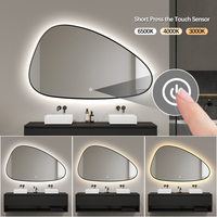 2026 New Arrival Irregular Smart Silver Mirror Glass Led Lighted Bathroom Mirror Custom Sower Vanity Mirror with Aluminum Frame