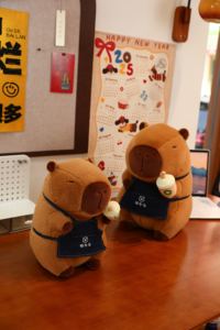 Grembiule latte tè Capy cavia in possesso di una bevanda giocattolo di peluche per ragazzi e ragazze bambole di pezza adatto per ragazzi e ragazze collezione - Product Image 3