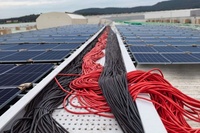 Sheng teng Factory TÜV EN IEC IPFG Zugelassenes Gleichstrom-Solar kabel Einzel PV1-F größen 2, 5 mm2 4 mm2 Kabel für Solar-PV-System