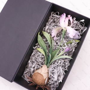 <span class=keywords><strong>2025</strong></span> <span class=keywords><strong>New</strong></span> Arrival phân hủy sinh học <span class=keywords><strong>Craft</strong></span> giấy nhiều màu sắc shredded mô Filler cho quà tặng bao bì bảo vệ sử dụng - Product Image 4