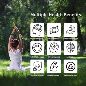 OEM/ODM Private Label Complexe de champignons sans sucre Gummies Energy Focus Supplément <span class=keywords><strong>Booster</strong></span> Cerveau pour adultes - Product Image 3