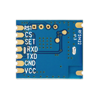 Módulo Transceptor RF G-NiceRF ANT+ Uart RF51422 Adopta Chip SOC Módulo Transceptor ANT+