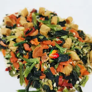インスタントヌードルの中国乾燥野菜小袋食品調味料パケット