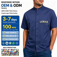 Chemises à boutons brodées bleues à manches courtes surdimensionnées pour les chefs, les travailleurs, les vêtements de rue, chemises respirantes pour hommes